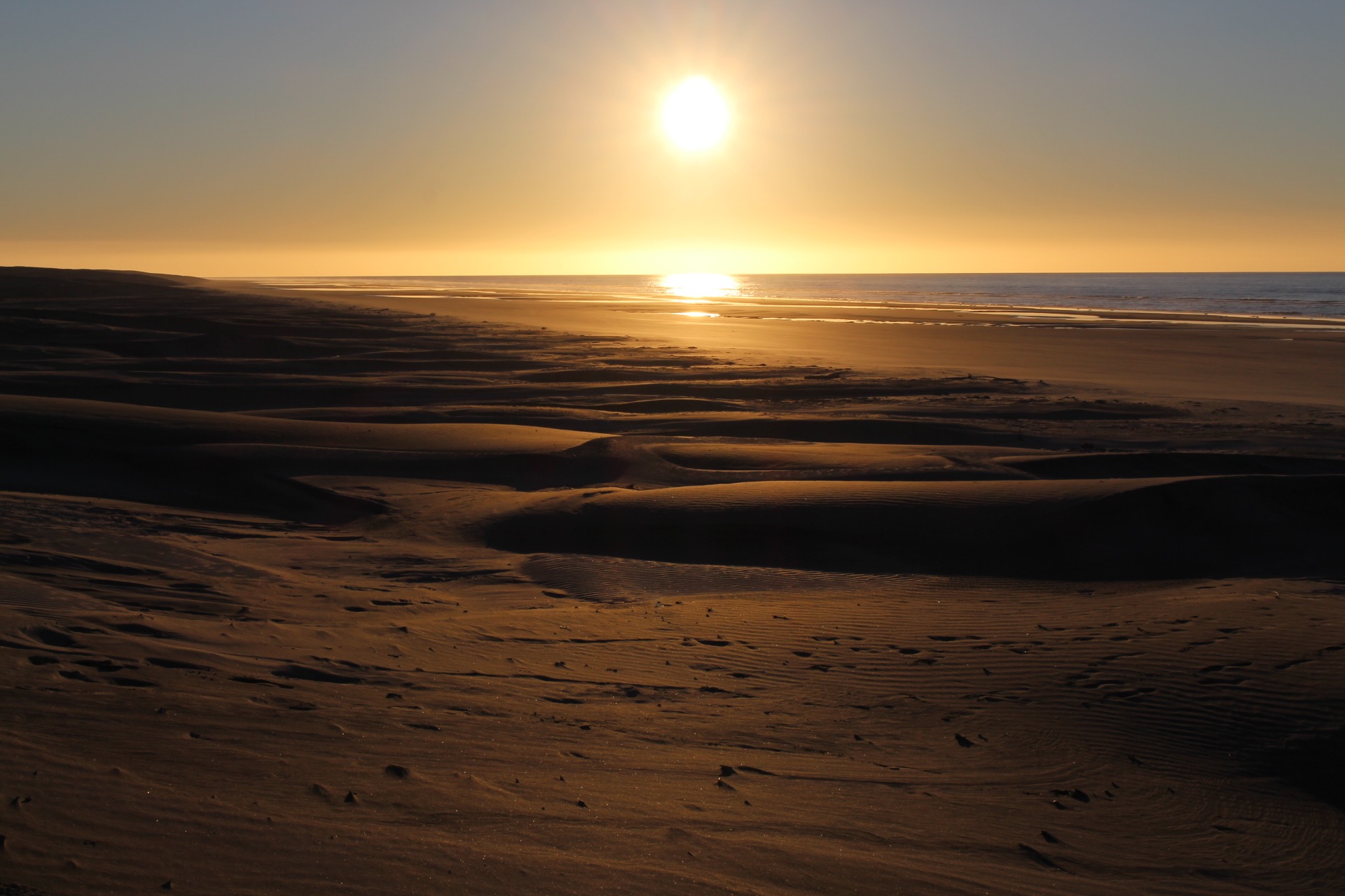 Farewell Spit Sand Dunes Environment